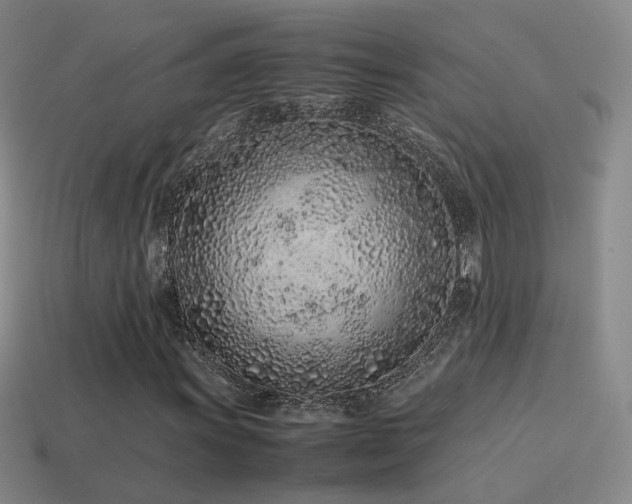 X0000115501011200911061323