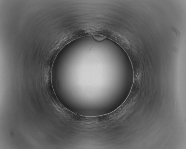 X0000115501012200911061323