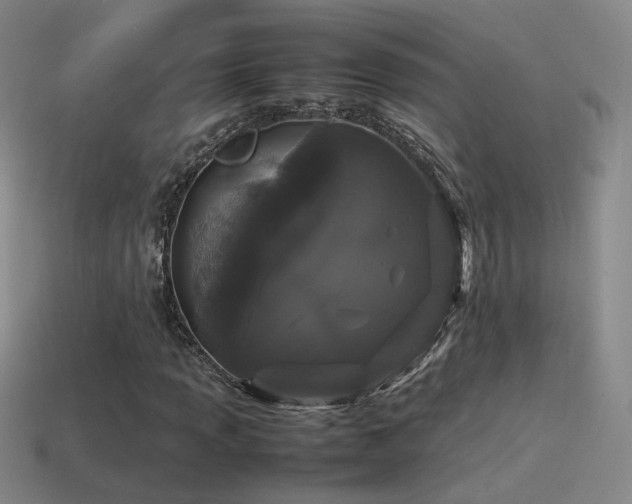 X0000115501013200911061323