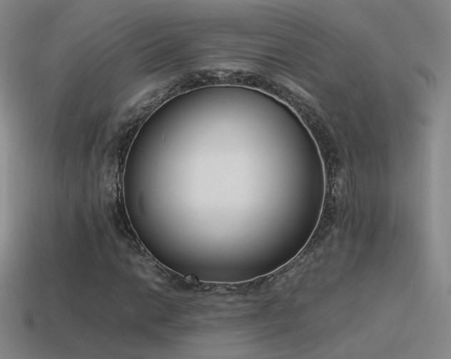 X0000115501014200911061323