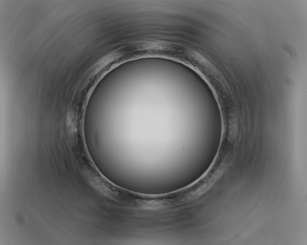 X0000115501017200911061323