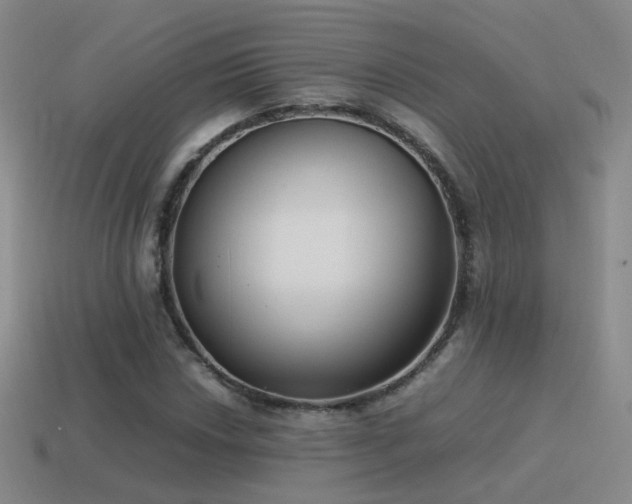 X0000115501018200911061323