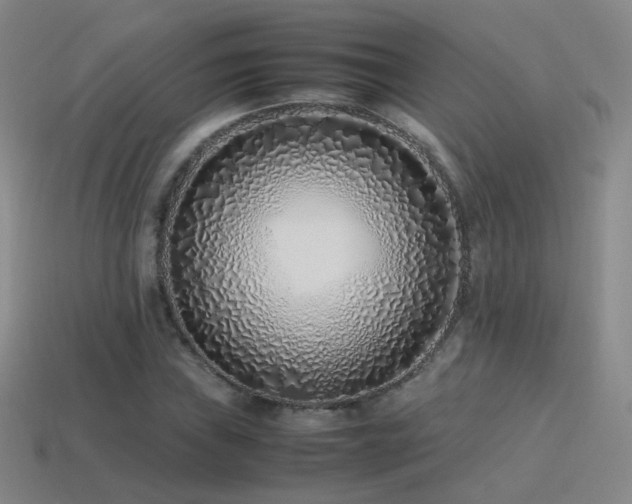 X0000115501019200911061323