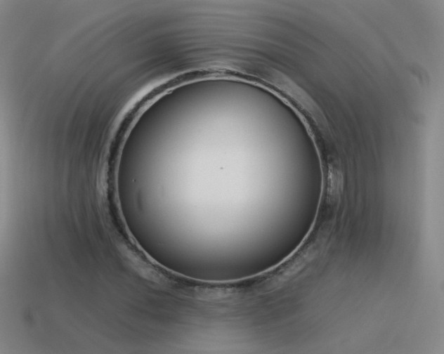 X0000115501020200911061323