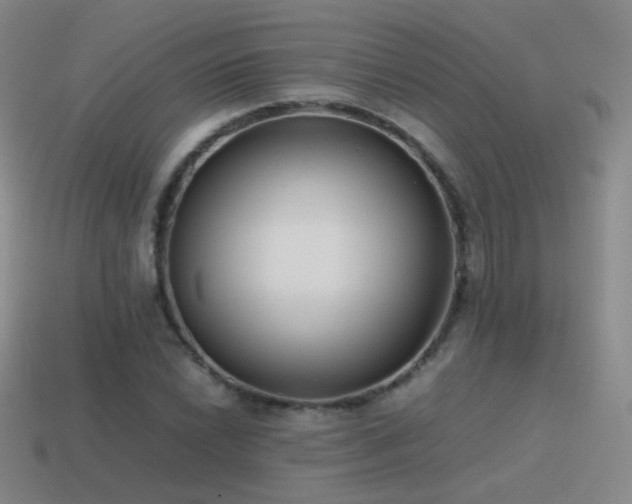 X0000115501022200911061323