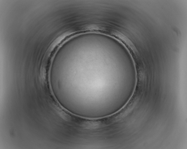 X0000115501023200911061323