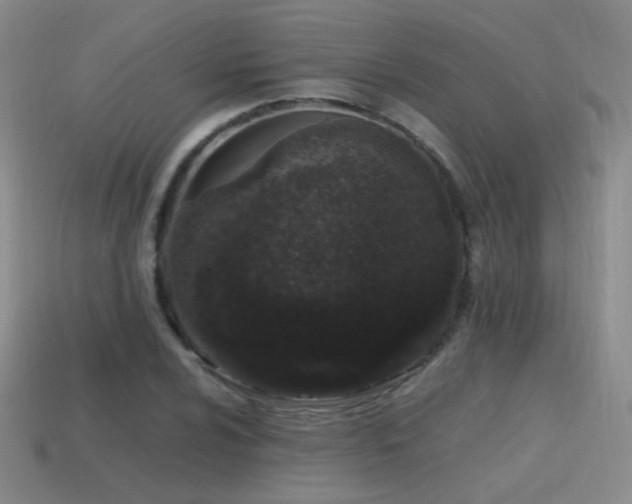 X0000115501024200911061323