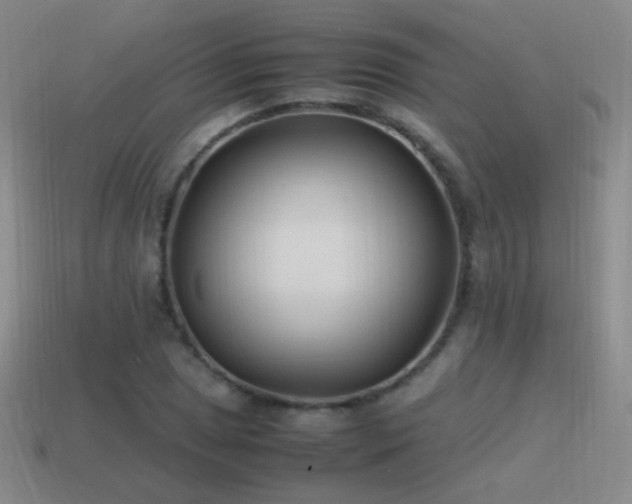 X0000115501025200911061323