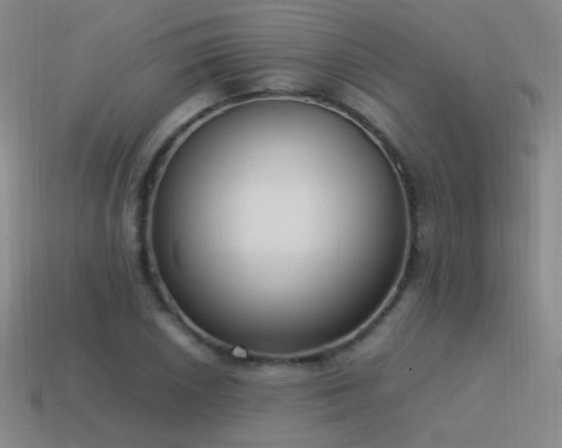 X0000115501026200911061323