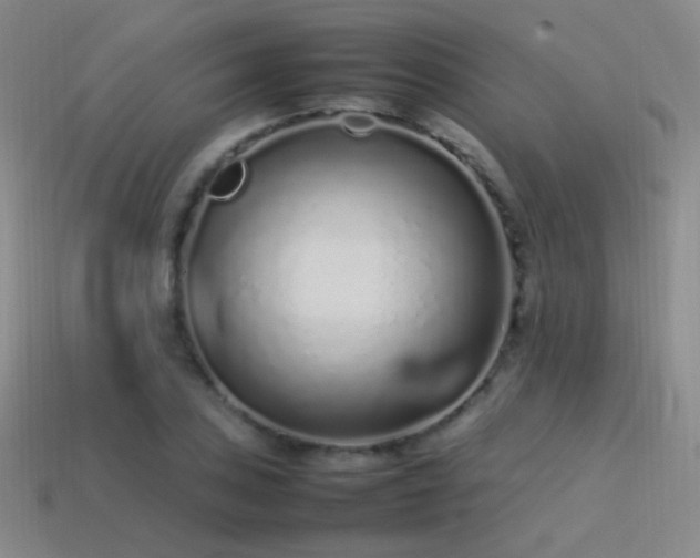 X0000115501027200911061323