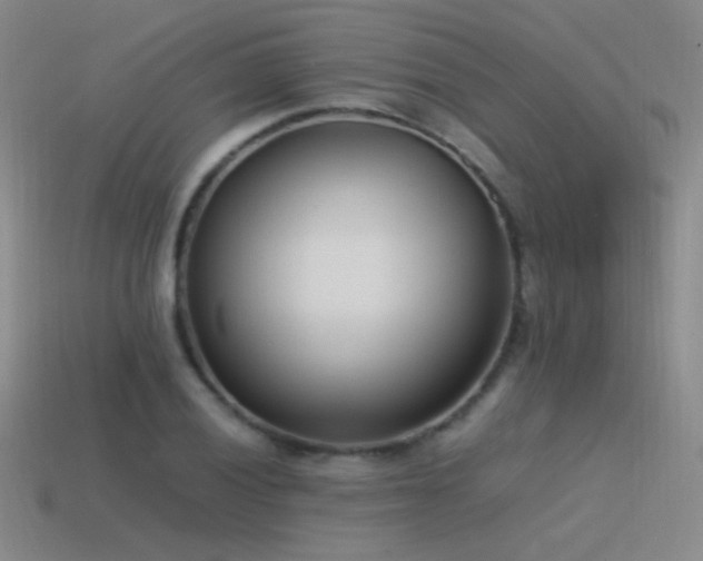 X0000115501028200911061323