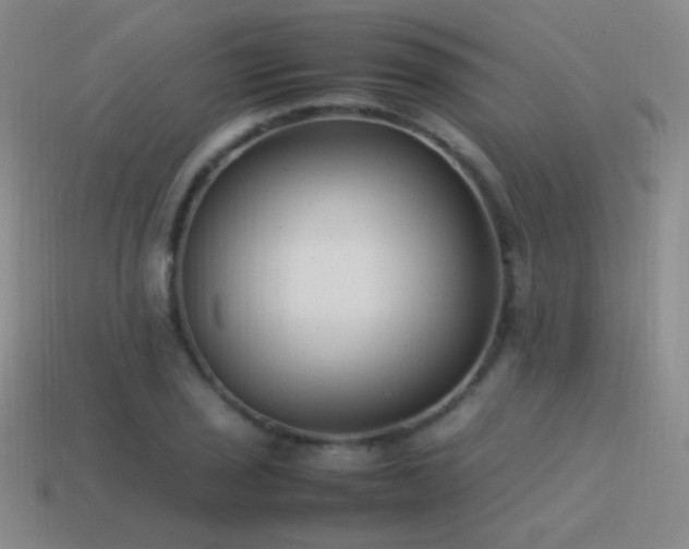 X0000115501029200911061323