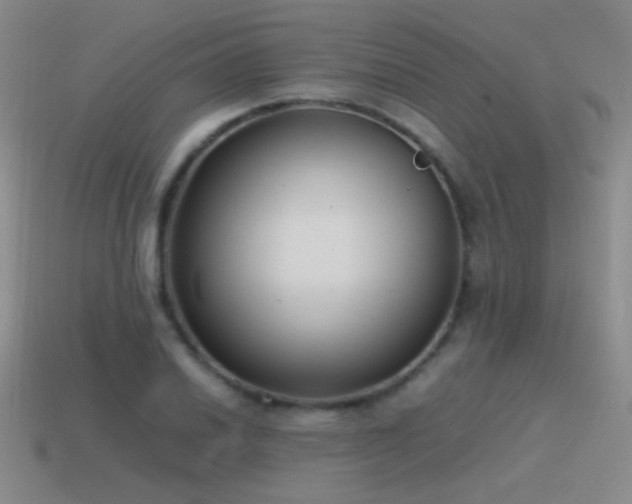 X0000115501030200911061323