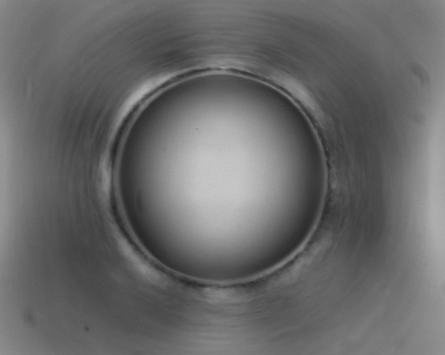 X0000115501032200911061323