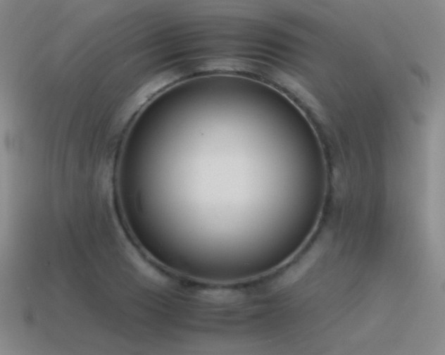 X0000115501033200911061323