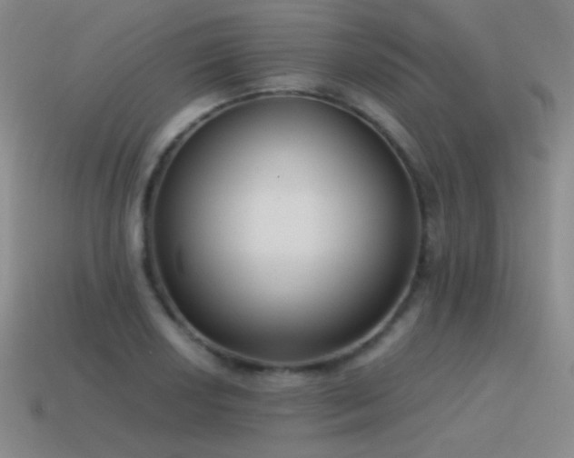 X0000115501034200911061323
