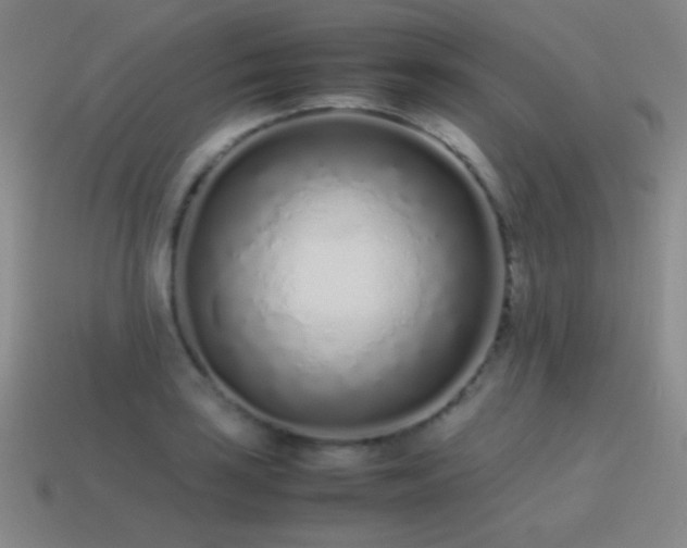 X0000115501035200911061323