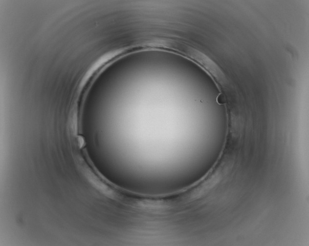 X0000115501036200911061323