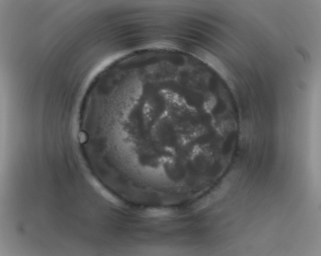 X0000115501037200911061323