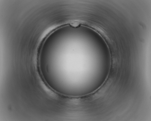 X0000115501038200911061323