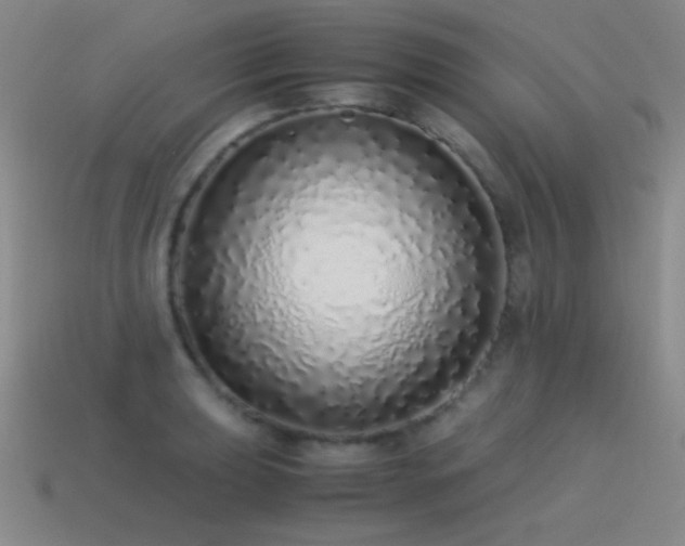 X0000115501039200911061323