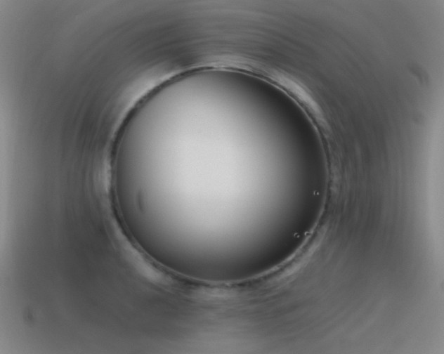 X0000115501040200911061323