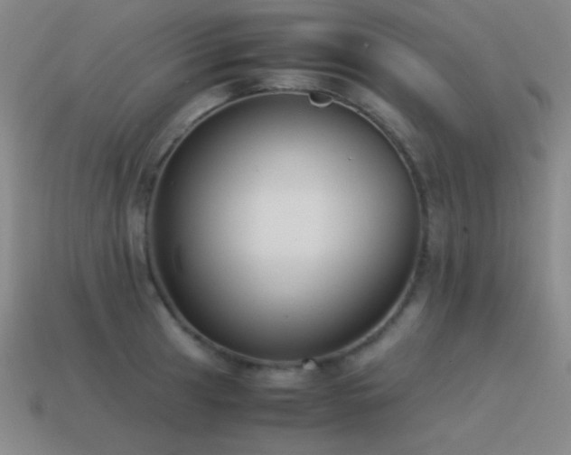 X0000115501041200911061323