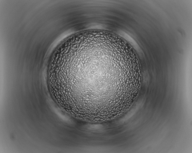 X0000115501043200911061323