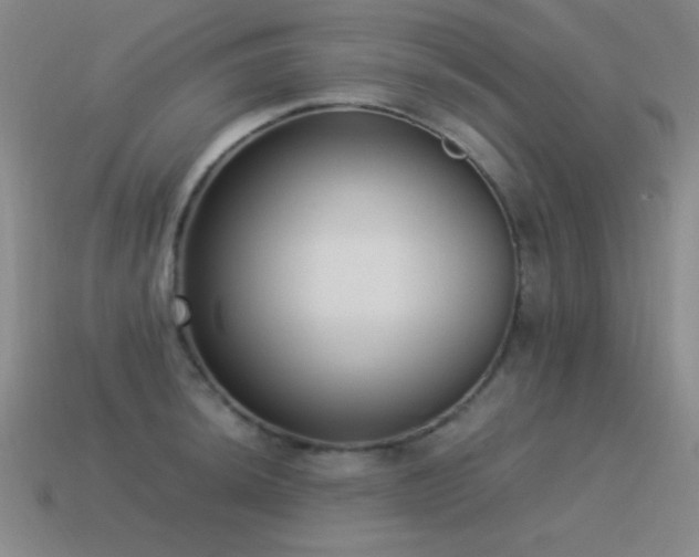 X0000115501044200911061323