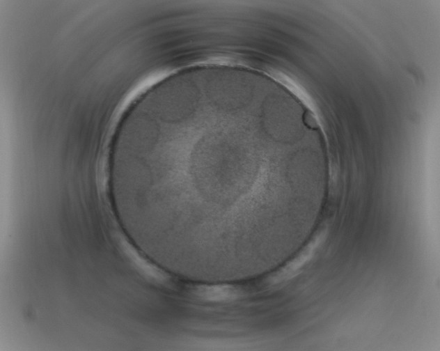X0000115501045200911061323