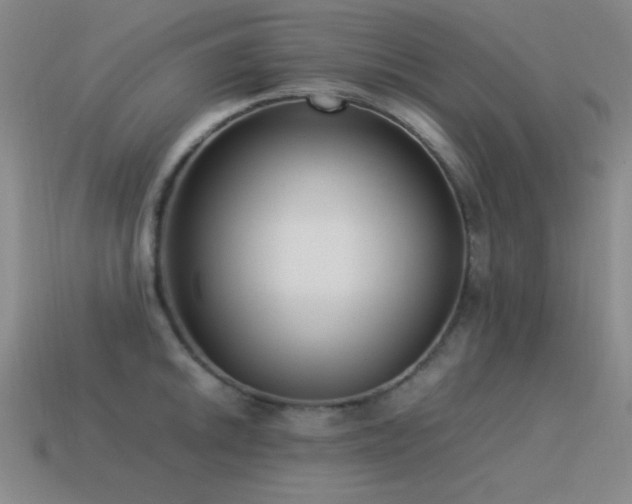 X0000115501046200911061323