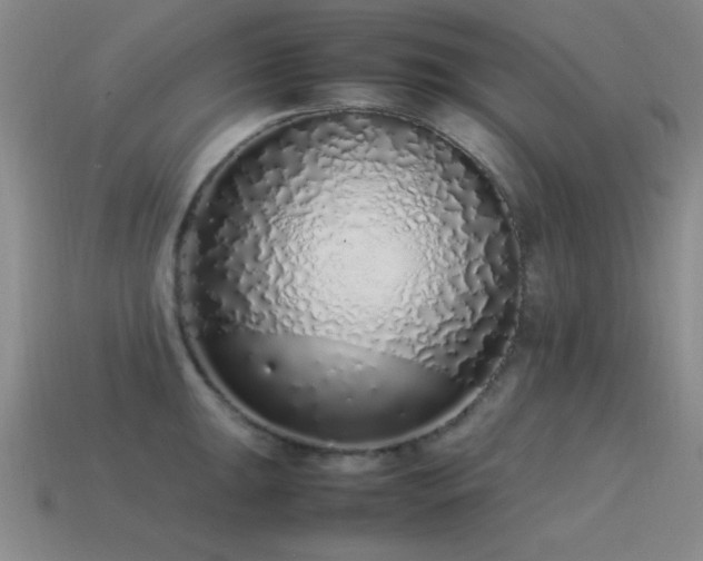 X0000115501047200911061323