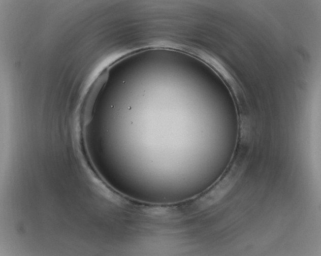 X0000115501048200911061323