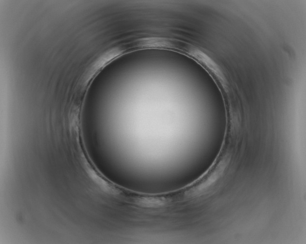 X0000115501049200911061323