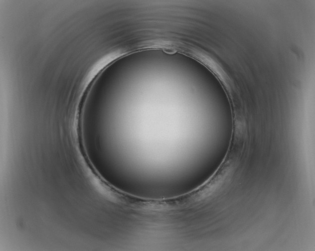 X0000115501050200911061323