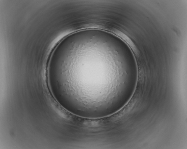 X0000115501051200911061323