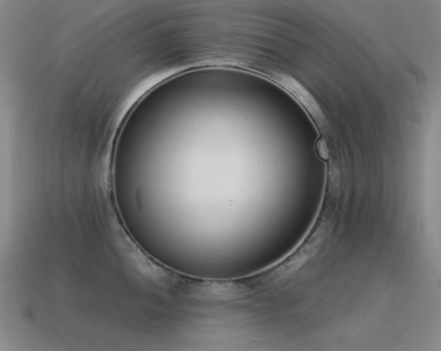 X0000115501052200911061323