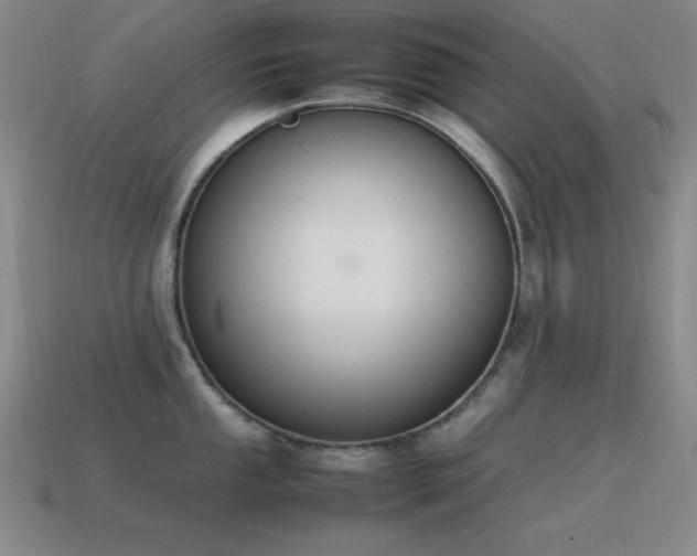 X0000115501053200911061323