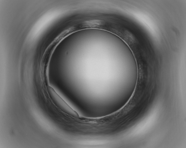 X0000115501054200911061323