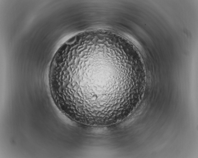 X0000115501055200911061323