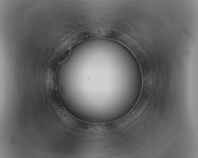 X0000115501058200911061323