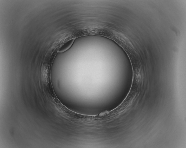 X0000115501060200911061323