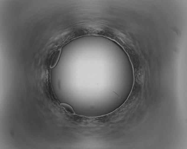 X0000115501061200911061323