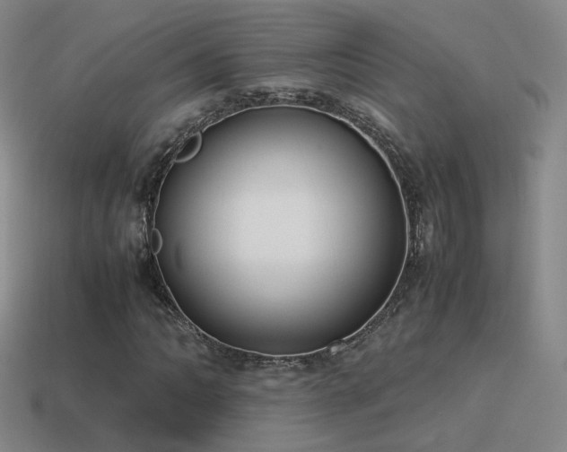 X0000115501062200911061323