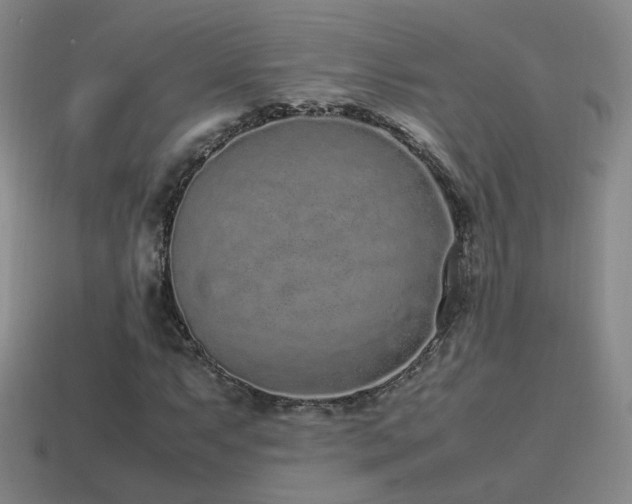 X0000115501063200911061323