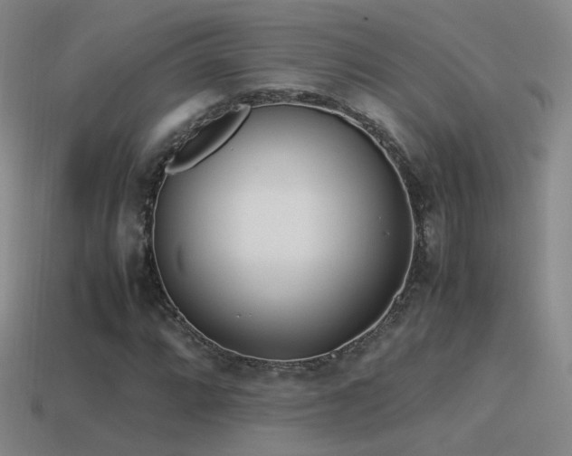 X0000115501064200911061323