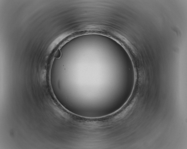 X0000115501066200911061323