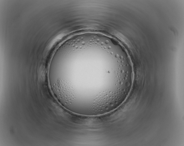 X0000115501067200911061323