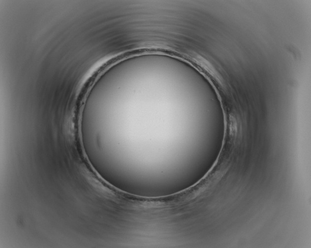 X0000115501068200911061323