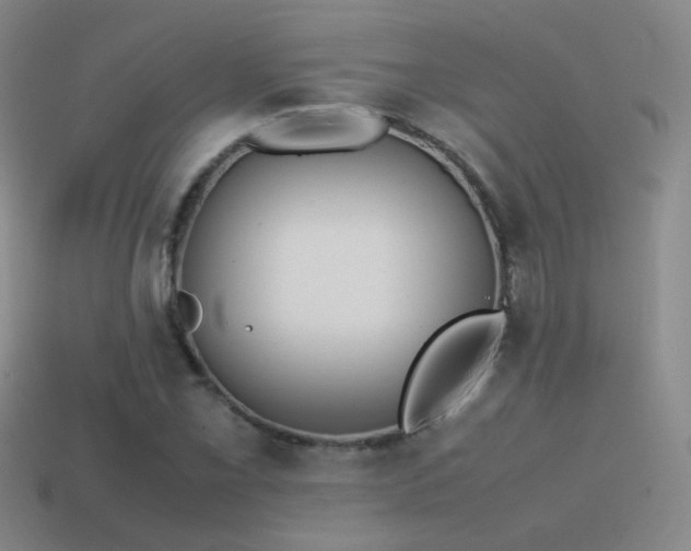 X0000115501069200911061323